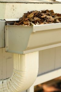 laurel-leaf-networking-blogs-safeguard-leaves-gutters-insurance