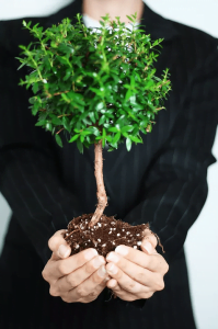 conpany corporate social responsibility sustainable development goals laurel leaf networking blogs