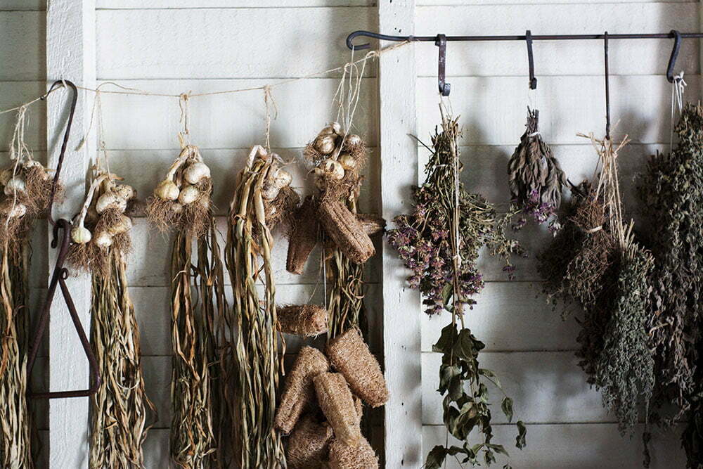 laurel-leaf-networking-anti-inflammatory-blog