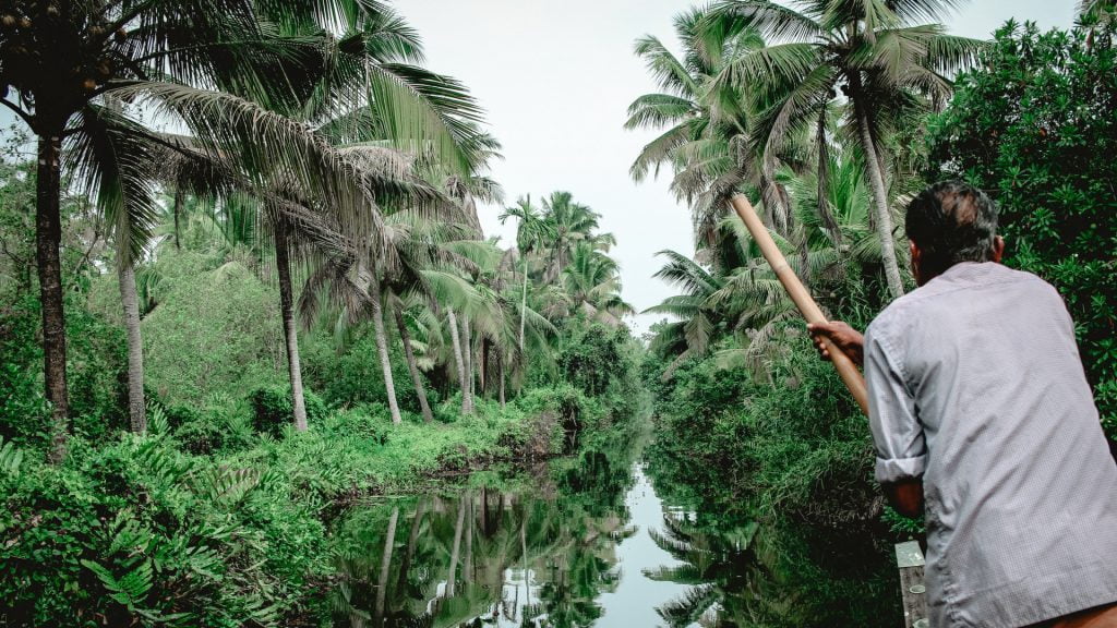 travelling-laurel-leaf-networking-blogs