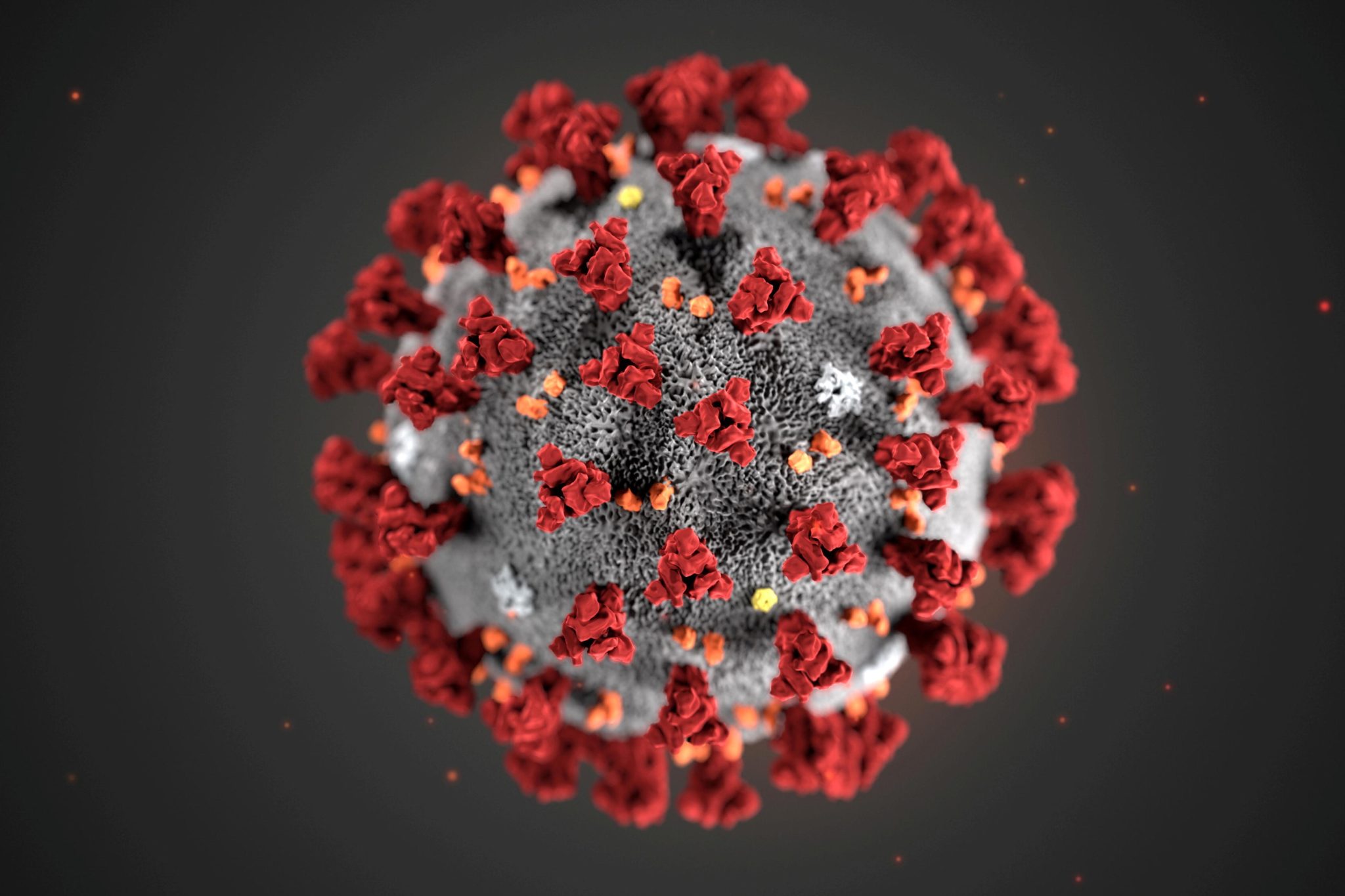 community-address-corona-virus-laurel-leaf-networking-blogs