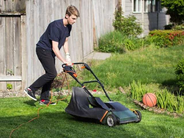 13-years-cv-laurel-leaf-networking-blogs